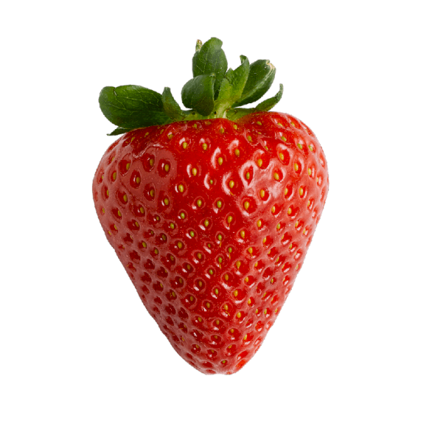 الفراولة